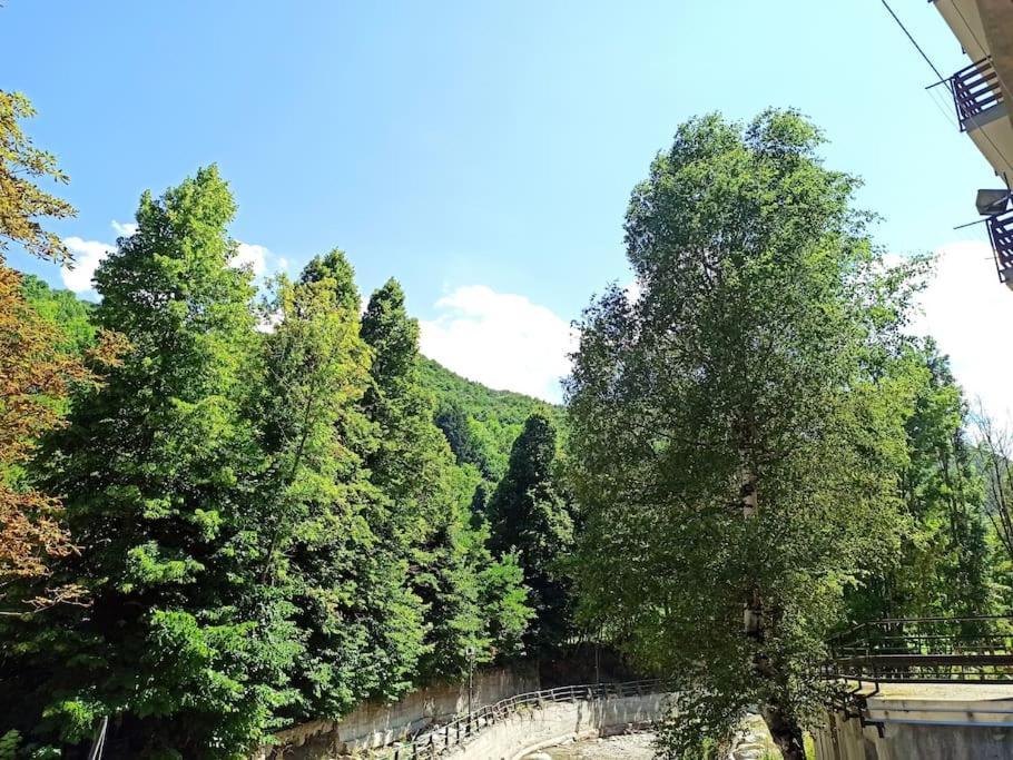 Appartamento Spazioso Con Terrazzo Di Proprieta Limone Piemonte Exterior photo